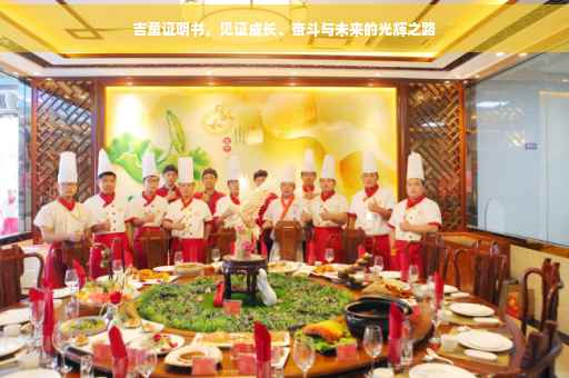 吉童证明书，见证成长、奋斗与未来的光辉之路