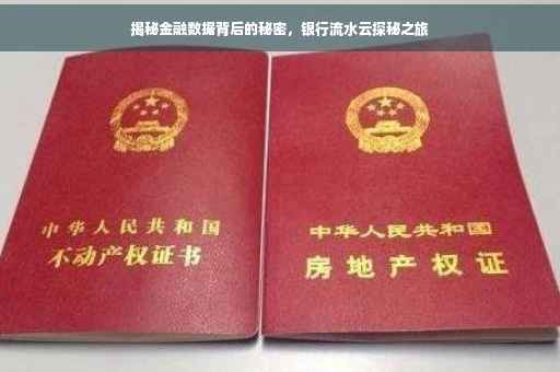 揭秘金融数据背后的秘密，银行流水云探秘之旅