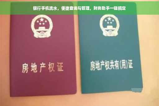 银行手机流水，便捷查询与管理，财务助手一键搞定