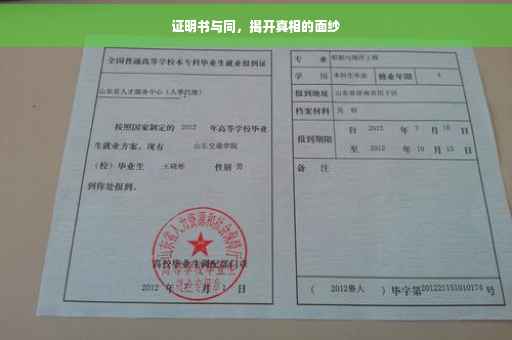 证明书与同，揭开真相的面纱