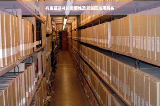 有责证明书的重要性及其实际应用解析