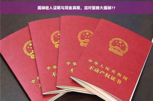 揭秘收入证明与现金真相，应对策略大揭秘??