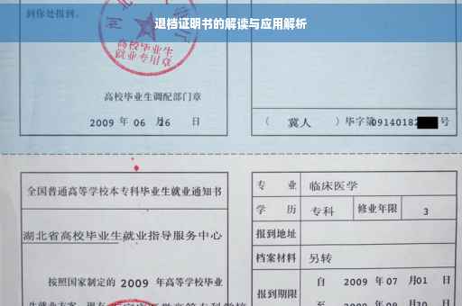 退档证明书的解读与应用解析