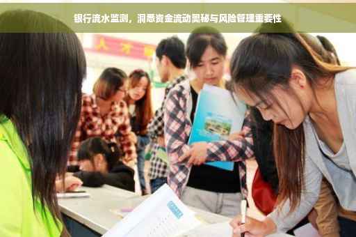 银行流水监测，洞悉资金流动奥秘与风险管理重要性