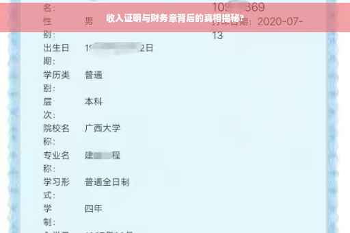 收入证明与财务章背后的真相揭秘?