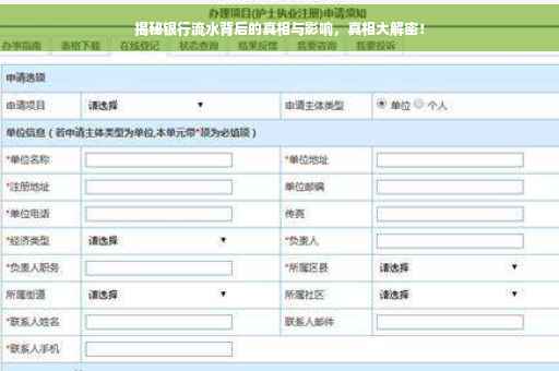 揭秘银行流水背后的真相与影响，真相大解密！