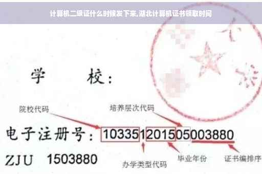 计算机二级证什么时候发下来,湖北计算机证书领取时间