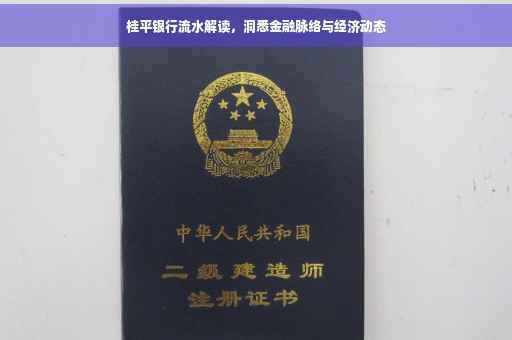 桂平银行流水解读，洞悉金融脉络与经济动态