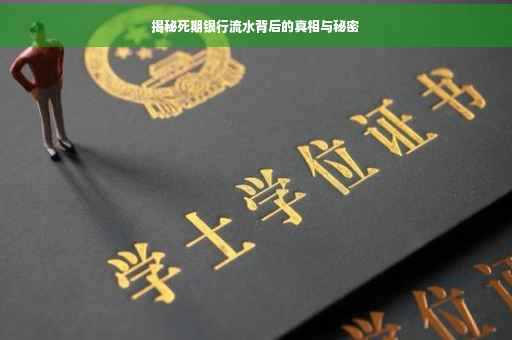 揭秘死期银行流水背后的真相与秘密
