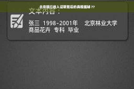 北京银行收入证明背后的真相揭秘 ??