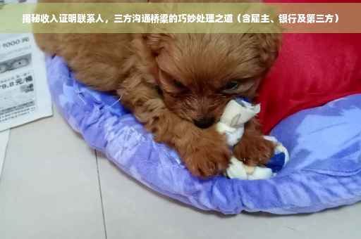 揭秘收入证明联系人，三方沟通桥梁的巧妙处理之道（含雇主、银行及第三方）