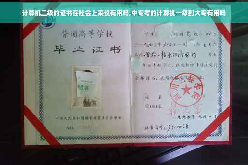计算机二级的证书在社会上来说有用吗,中专考的计算机一级到大专有用吗