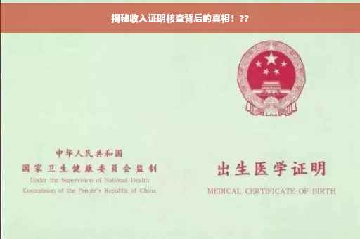 揭秘收入证明核查背后的真相！??