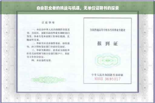 自由职业者的挑战与机遇，无单位证明书的探索