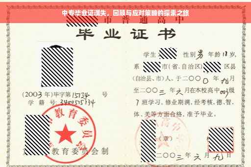 中专毕业证遗失，回顾与应对策略的探索之旅