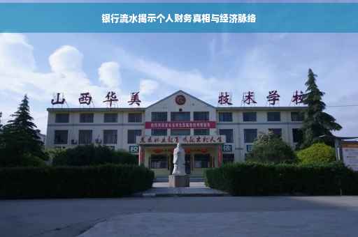 银行流水揭示个人财务真相与经济脉络