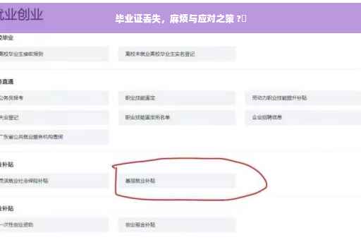 毕业证丢失，麻烦与应对之策 ?✨