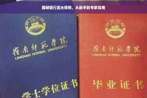 揭秘银行流水规格，从新手到专家指南