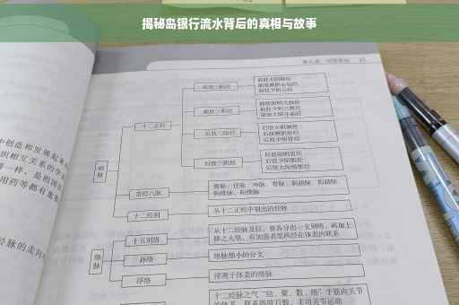 揭秘岛银行流水背后的真相与故事