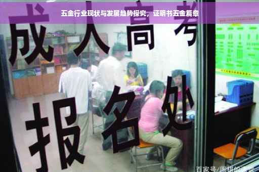 五金行业现状与发展趋势探究，证明书五金篇章