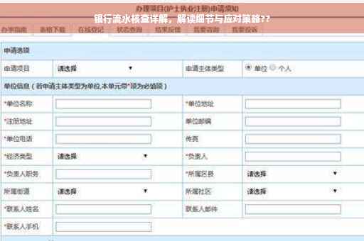 银行流水核查详解，解读细节与应对策略??