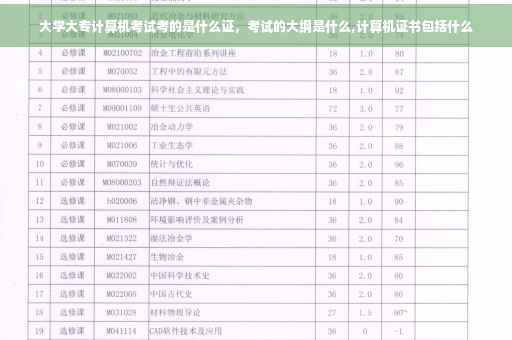 大学大专计算机考试考的是什么证，考试的大纲是什么,计算机证书包括什么