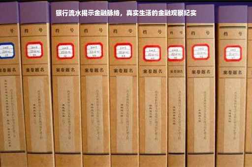 银行流水揭示金融脉络，真实生活的金融观察纪实
