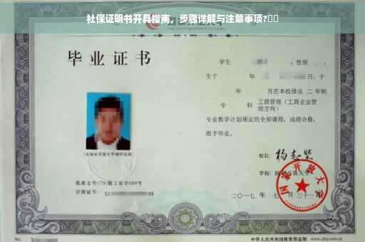 社保证明书开具指南，步骤详解与注意事项?⚡️
