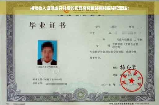 揭秘收入证明虚开背后的犯罪真相揭秘真相探秘犯罪链！