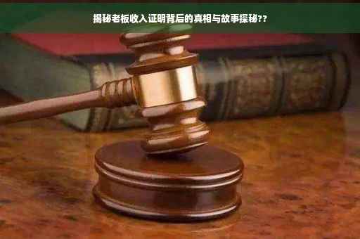 揭秘老板收入证明背后的真相与故事探秘??