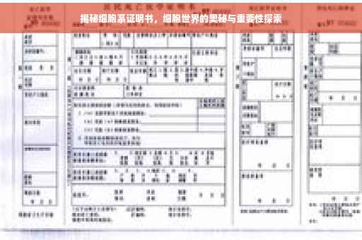揭秘细胞系证明书，细胞世界的奥秘与重要性探索