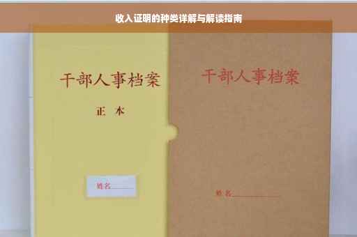 收入证明的种类详解与解读指南