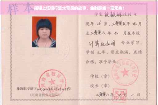 揭秘上忆银行流水背后的故事，金融脉络一览无余！