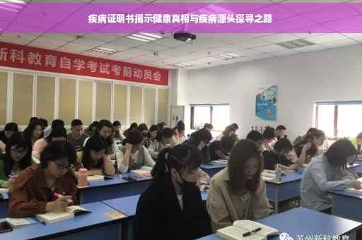 疾病证明书揭示健康真相与疾病源头探寻之路