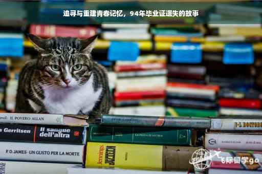 追寻与重建青春记忆，94年毕业证遗失的故事