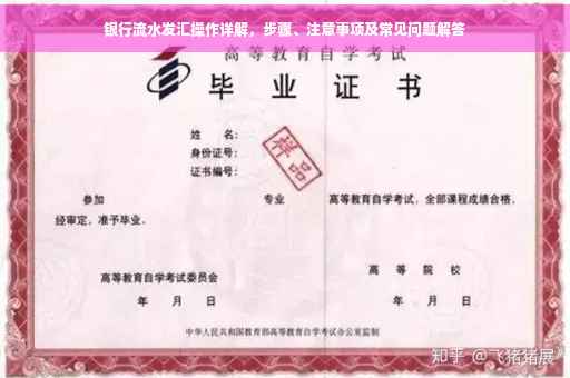 银行流水发汇操作详解，步骤、注意事项及常见问题解答