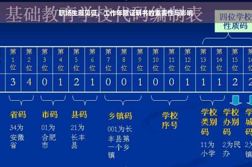 职场生涯见证，工作年限证明书的重要性与影响