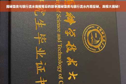 揭秘垫资与银行流水真相背后的故事揭秘垫资与银行流水内幕探秘，真相大揭秘！