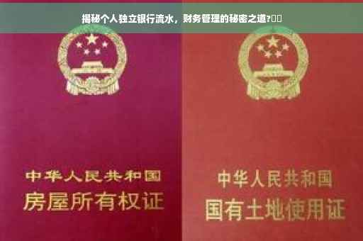 揭秘个人独立银行流水，财务管理的秘密之道?⚡️