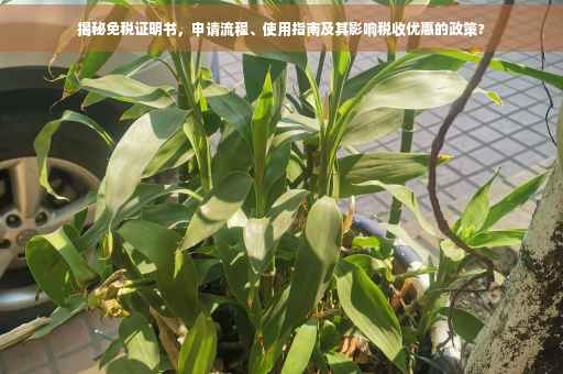 揭秘免税证明书，申请流程、使用指南及其影响税收优惠的政策?