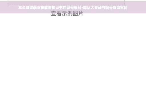 怎么查询职业技能资格证书的证号编码-部队大专证书编号查询官网