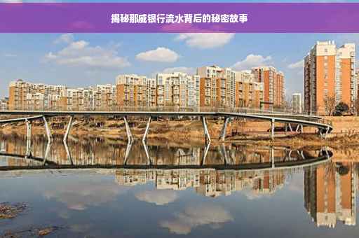 揭秘那威银行流水背后的秘密故事
