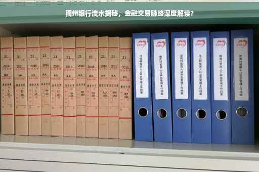 稠州银行流水揭秘，金融交易脉络深度解读?
