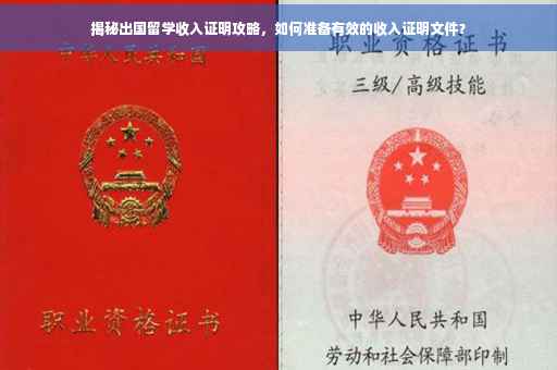 揭秘出国留学收入证明攻略，如何准备有效的收入证明文件？