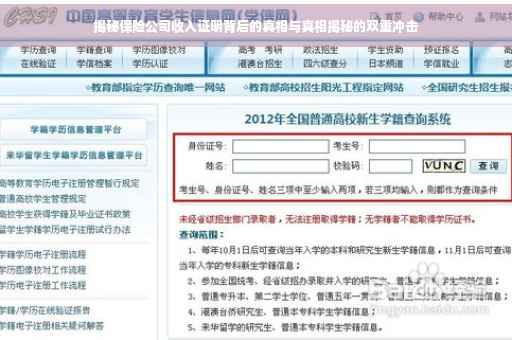 揭秘保险公司收入证明背后的真相与真相揭秘的双重冲击