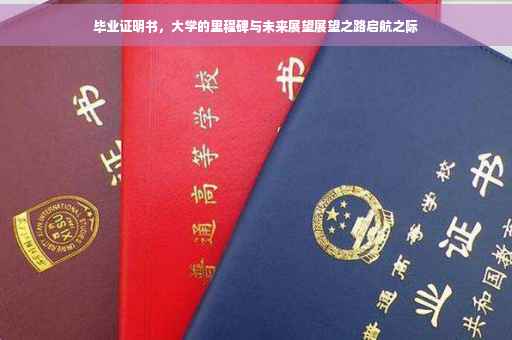 毕业证明书，大学的里程碑与未来展望展望之路启航之际