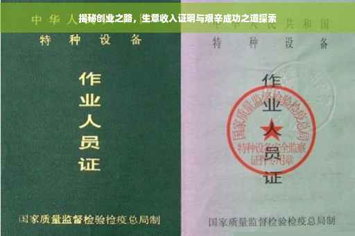 揭秘创业之路，生意收入证明与艰辛成功之道探索