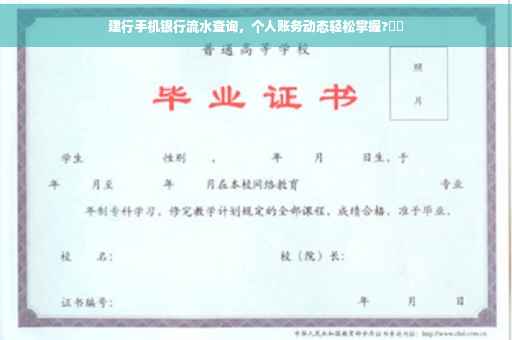 建行手机银行流水查询，个人账务动态轻松掌握?⚡️