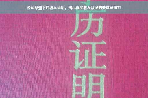 公司章盖下的收入证明，揭示真实收入状况的关键证据??