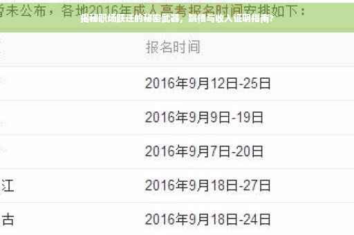 揭秘职场跃迁的秘密武器，跳槽与收入证明指南?